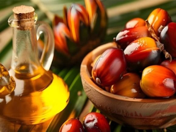 buy-cpo-palm-oil