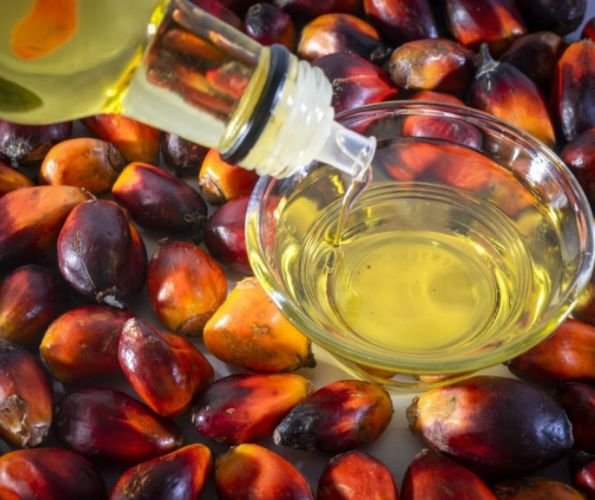 cpo-palm-oil-online