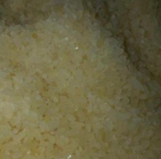 broken-rice