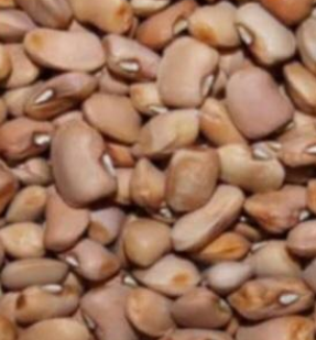 brown-beans