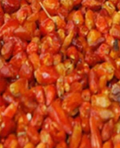 hot-chilli-pepper
