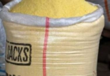 yellow-garri